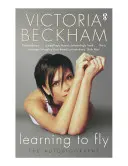 Apprendre à voler - Learning to Fly