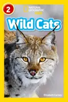 Chats sauvages - Niveau 2 - Wild Cats - Level 2