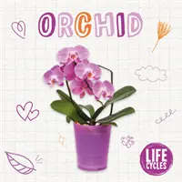 Orchidée - Orchid