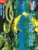 Dans la mer Bandeau rouge - In the Sea Red Band