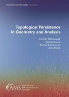 Persistance topologique en géométrie et en analyse - Topological Persistence in Geometry and Analysis