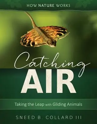 Attraper l'air : Le saut des animaux en vol plané - Catching Air: Taking the Leap with Gliding Animals