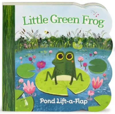 Petite grenouille verte - Little Green Frog