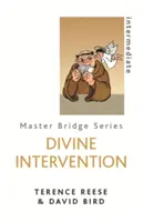 Intervention divine - Divine Intervention