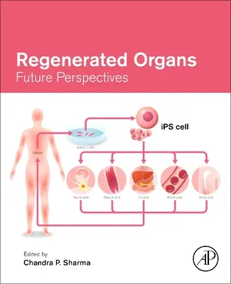 Organes régénérés : Perspectives d'avenir - Regenerated Organs: Future Perspectives