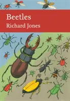 Coccinelles - Beetles