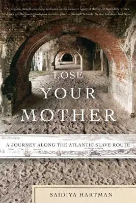 Perdre sa mère : Un voyage le long de la route de l'esclave dans l'Atlantique - Lose Your Mother: A Journey Along the Atlantic Slave Route