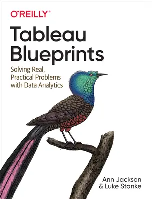 Tableau Strategies : Résoudre des problèmes réels et pratiques grâce à l'analyse des données - Tableau Strategies: Solving Real, Practical Problems with Data Analytics