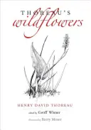 Les fleurs sauvages de Thoreau - Thoreau's Wildflowers