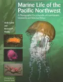 La vie marine du nord-ouest du Pacifique : Une encyclopédie photographique d'invertébrés, d'algues et de poissons sélectionnés - Marine Life of the Pacific Northwest: A Photographic Encyclopedia of Invertebrates, Seaweeds and Selected Fishes