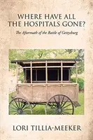 Où sont passés tous les hôpitaux : les conséquences de la bataille de Gettysburg - Where Have All the Hospitals Gone?: The Aftermath of the Battle of Gettysburg