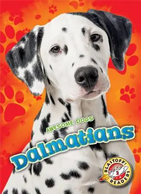 Dalmatiens - Dalmatians