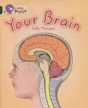 Ton cerveau - Your Brain