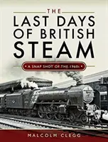 Les derniers jours de la vapeur britannique : Un instantané des années 1960 - The Last Days of British Steam: A Snapshot of the 1960s