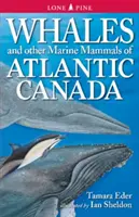 Baleines et autres mammifères marins du Canada atlantique - Whales and Other Marine Mammals of Atlantic Canada