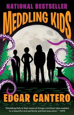 Les enfants turbulents - Meddling Kids