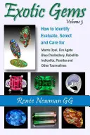 Exotic Gems - Volume 3 : How to Identify, Evaluate, Select & Care for Matrix Opal, Fire Agate, Blue Chalcedony, Rubellite, Indicolite, Paraiba & Other - Exotic Gems - Volume 3: How to Identify, Evaluate, Select & Care for Matrix Opal, Fire Agate, Blue Chalcedony, Rubellite, Indicolite, Paraiba & Other