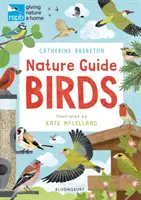 Guide de la nature RSPB : Oiseaux - RSPB Nature Guide: Birds