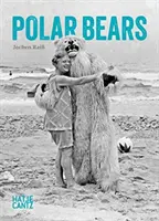 Ours polaires - Polar Bears