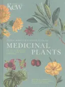 Le compagnon du jardinier pour les plantes médicinales : Un A-Z des plantes médicinales et des remèdes maison - The Gardener's Companion to Medicinal Plants: An A-Z of Healing Plants and Home Remedies