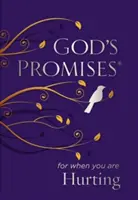 Les promesses de Dieu pour ceux qui souffrent - God's Promises for When You Are Hurting