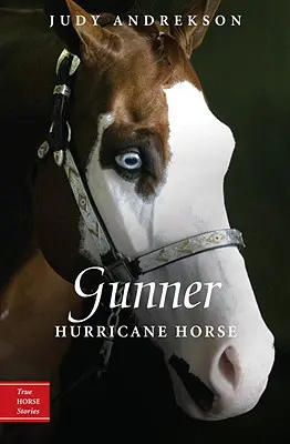 Gunner : Le cheval de l'ouragan - Gunner: Hurricane Horse