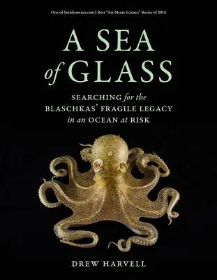 Une mer de verre, 13 : À la recherche de l'héritage fragile des Blaschka dans un océan en péril - A Sea of Glass, 13: Searching for the Blaschkas' Fragile Legacy in an Ocean at Risk