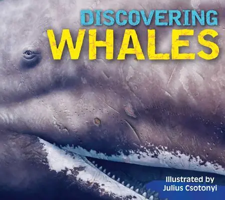 A la découverte des baleines, des dauphins et des marsouins - Discovering Whales, Dolphins & Porpoises