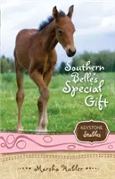 Le cadeau spécial de Southern Belle, 3 - Southern Belle's Special Gift, 3