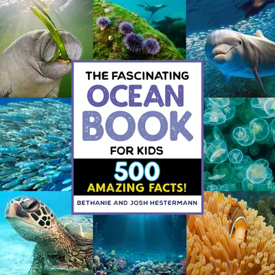 Le livre fascinant de l'océan pour les enfants : 500 faits incroyables ! - The Fascinating Ocean Book for Kids: 500 Incredible Facts!