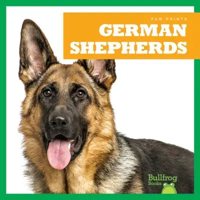 Bergers allemands - German Shepherds