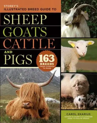 Storey's Illustrated Breed Guide to Sheep, Goats, Cattle and Pigs : 163 Breeds from Common to Rare (en anglais) - Storey's Illustrated Breed Guide to Sheep, Goats, Cattle and Pigs: 163 Breeds from Common to Rare