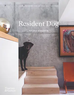 Resident Dog : Des maisons incroyables et les chiens qui y vivent - Resident Dog: Incredible Homes and the Dogs That Live There