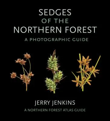 Les carex de la forêt nordique : Guide photographique - Sedges of the Northern Forest: A Photographic Guide