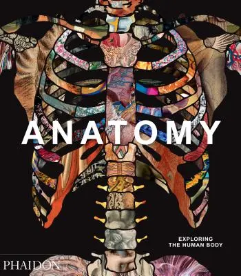 Anatomie : A la découverte du corps humain - Anatomy: Exploring the Human Body