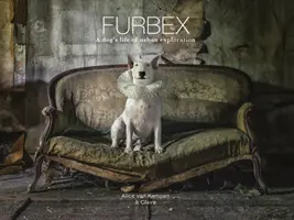 Furbex : La vie d'un chien en exploration urbaine - Furbex: A Dog's Life of Urban Exploration