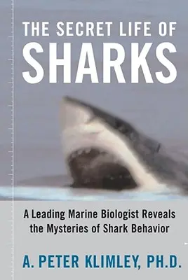 La vie secrète des requins : Un éminent biologiste marin révèle les mystères du comportement des requins - The Secret Life of Sharks: A Leading Marine Biologist Reveals the Mysteries of Shark Behavior