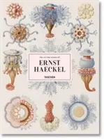 L'art et la science d'Ernst Haeckel - The Art and Science of Ernst Haeckel