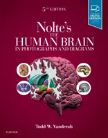 Le cerveau humain en photographies et en diagrammes de Nolte - Nolte's the Human Brain in Photographs and Diagrams