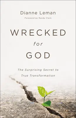 Naufragés de Dieu : Le secret surprenant de la véritable transformation - Wrecked for God: The Surprising Secret to True Transformation