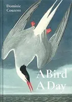 Un oiseau par jour - A Bird a Day