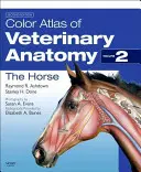 Atlas couleur d'anatomie vétérinaire, volume 2, le cheval - Color Atlas of Veterinary Anatomy, Volume 2, the Horse