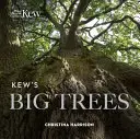 Les grands arbres de Kew - Kew's Big Trees