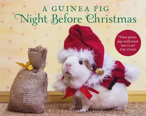 Une nuit de cochon d'Inde avant Noël - A Guinea Pig Night Before Christmas