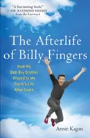 L'après-vie de Billy Fingers : Comment mon mauvais garçon de frère m'a prouvé qu'il y a une vie après la mort - Afterlife of Billy Fingers: How My Bad-Boy Brother Proved to Me There's Life After Death