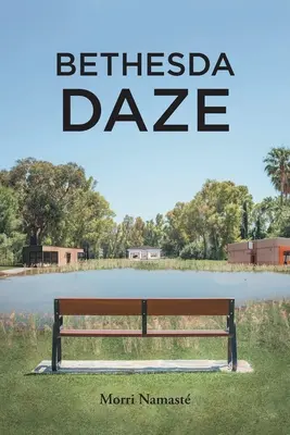 La journée de Bethesda - Bethesda Daze