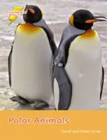 Animaux polaires - Set 4 - Polar Animals - Set 4