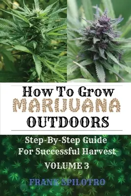 Comment cultiver de la marijuana en extérieur : Guide pas à pas pour une récolte réussie - How to Grow Marijuana Outdoors: Step-By-Step Guide for Successful Harvest