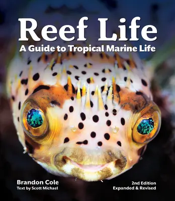 La vie récifale : Un guide de la vie marine tropicale - Reef Life: A Guide to Tropical Marine Life