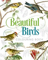 Livre de coloriage de beaux oiseaux - Beautiful Birds Colouring Book